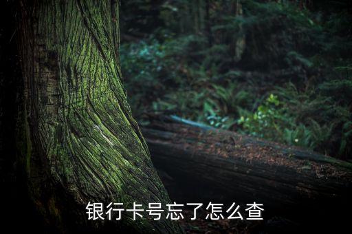我忘了銀行卡號怎么辦，我不記得我的銀行卡號了怎么辦