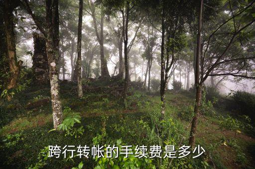 跨行轉(zhuǎn)帳的手續(xù)費(fèi)是多少