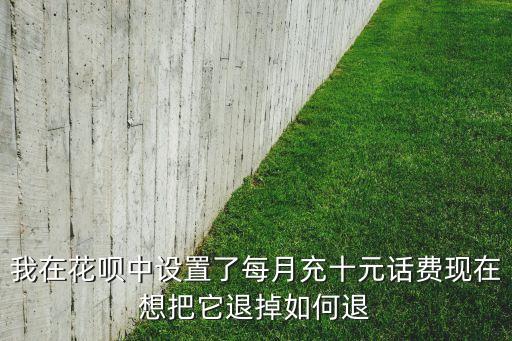 我在花唄中設置了每月充十元話費現(xiàn)在想把它退掉如何退