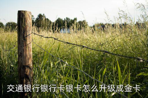 信用卡怎么升級成金卡，信用卡普卡如何換成金卡