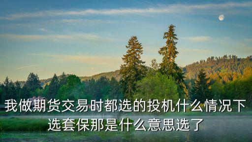 期貨投保怎么回事，期貨流水單上的投 保是什么意思