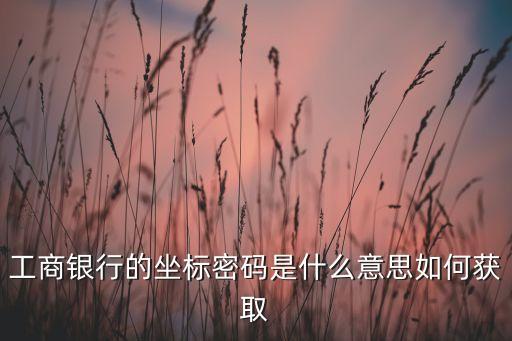 定向標(biāo)密碼怎么獲取，工商銀行的坐標(biāo)密碼是什么意思如何獲取