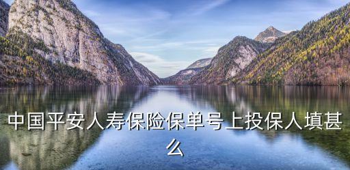 中國平安人壽保險保單號上投保人填甚么