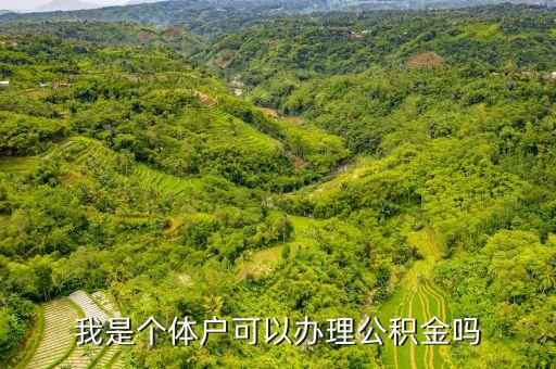 我是個(gè)體戶(hù)可以辦理公積金嗎