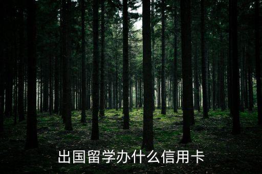 學生出國信用卡怎么說，留學辦什么信用卡