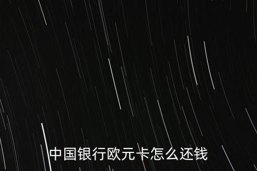 中國(guó)銀行歐元卡怎么還錢(qián)