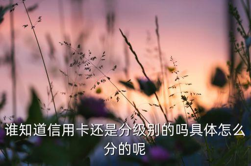 誰知道信用卡還是分級別的嗎具體怎么分的呢