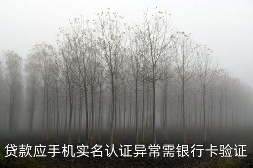 貸款實名認(rèn)證失敗怎么辦，貸款應(yīng)手機(jī)實名認(rèn)證異常需銀行卡驗證
