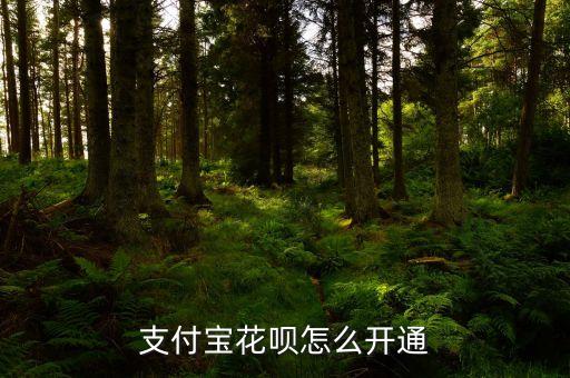 都怎么能開通花唄，支付寶花唄怎么開通