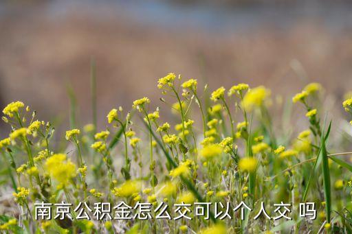 江蘇南京公積金怎么交，南京住房公積金如何繳存