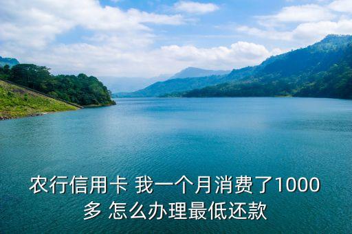 農(nóng)行信用卡 我一個月消費了1000多 怎么辦理最低還款