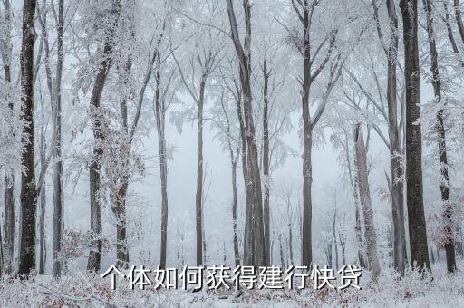 怎么再次獲得建行快貸，個(gè)體如何獲得建行快貸