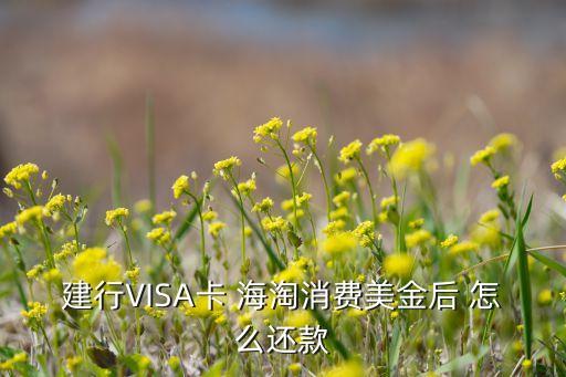 建行VISA卡 海淘消費美金后 怎么還款