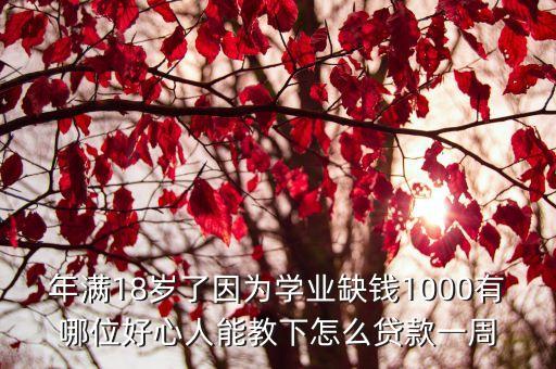 校園貸怎么能一周，學(xué)生貸款怎么貸啊