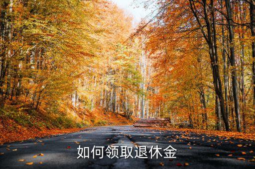 辦理退休怎么錢，我到領(lǐng)取養(yǎng)老保險(xiǎn)的年齡了我該怎么領(lǐng)錢