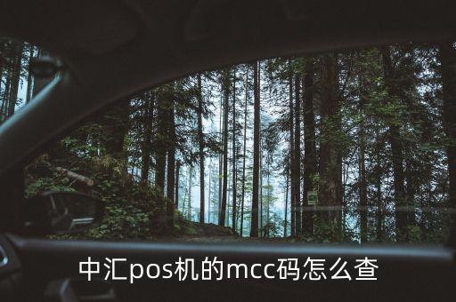 中匯pos機的mcc碼怎么查
