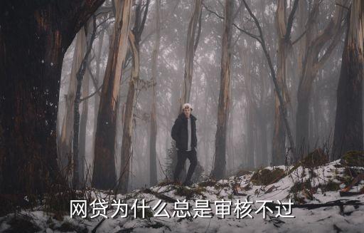 網(wǎng)貸為什么總是審核不過