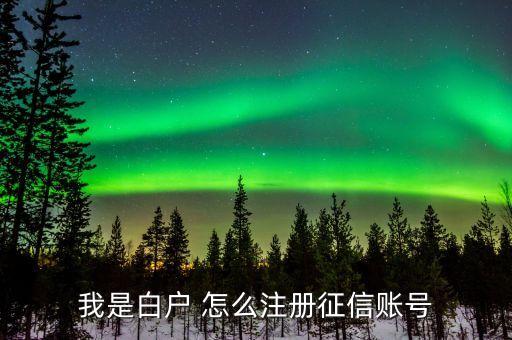 我是白戶 怎么注冊(cè)征信賬號(hào)