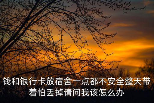 大額銀行卡怎么保管，大金額現(xiàn)金用什么存儲(chǔ)方式好