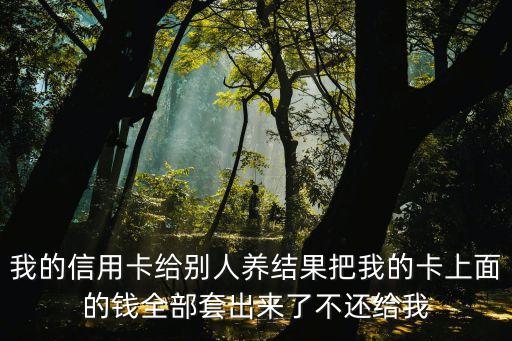 我的信用卡給別人養(yǎng)結(jié)果把我的卡上面的錢全部套出來了不還給我