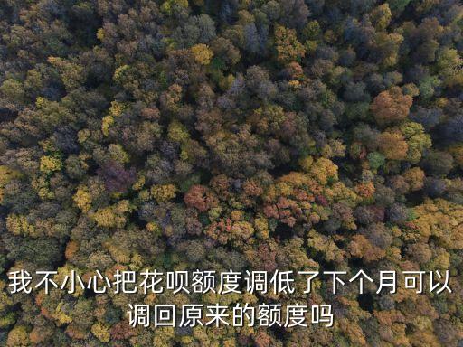 螞蟻花唄調(diào)小后怎么辦，我不小心把花唄額度調(diào)低了下個月能調(diào)回原有的額度嗎我需要用錢