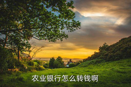農(nóng)業(yè)銀行怎么轉錢啊