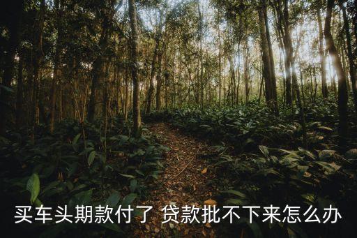 車貸沒有通過怎么辦理，買車分期付款可是沒審批過怎么辦呢