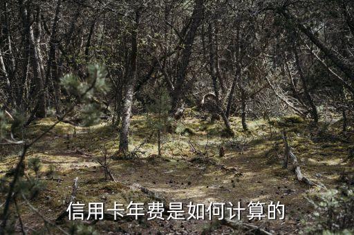信用卡年費(fèi)是如何計(jì)算的