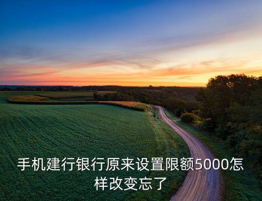 手機(jī)建行銀行原來設(shè)置限額5000怎樣改變忘了