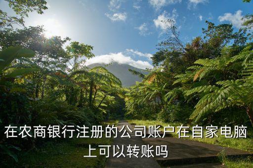農(nóng)商企業(yè)賬戶怎么轉(zhuǎn)賬，怎樣用農(nóng)行企業(yè)網(wǎng)銀轉(zhuǎn)賬