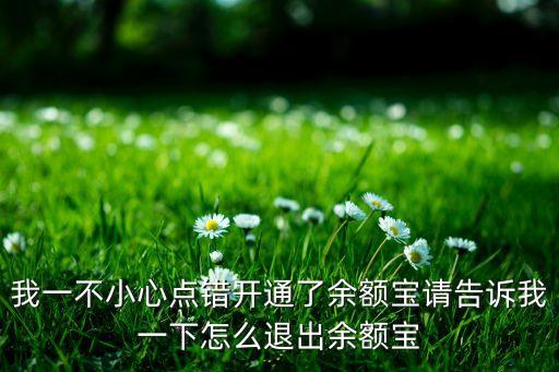 我一不小心點錯開通了余額寶請告訴我一下怎么退出余額寶