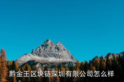 遼寧貸財行有限公司怎么樣，能不能說說泰山金融和貸財行比起來哪一個更靠譜啊