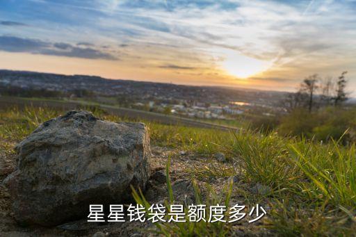 星星錢袋怎么提升額度，如何提升新錢包借款額度