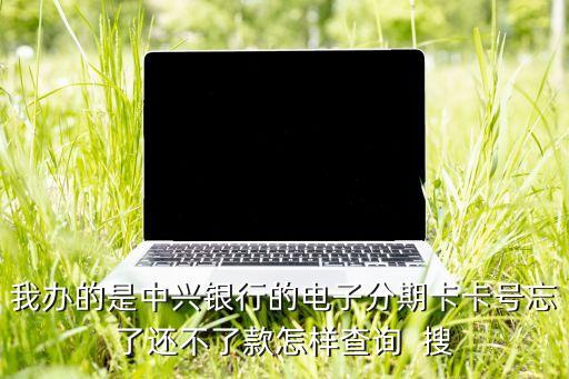 我辦的是中興銀行的電子分期卡卡號(hào)忘了還不了款怎樣查詢  搜