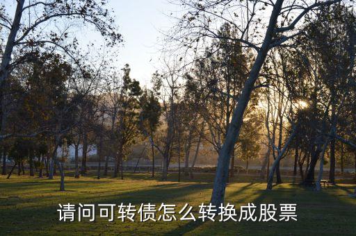 請問可轉(zhuǎn)債怎么轉(zhuǎn)換成股票