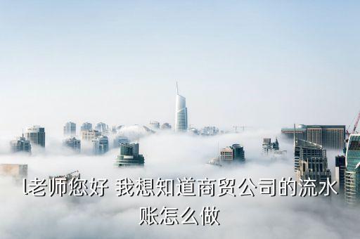 l老師您好 我想知道商貿公司的流水賬怎么做