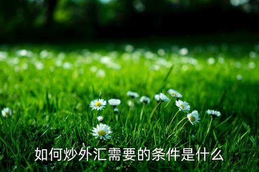 個人怎么炒匯，如何炒外匯需要的條件是什么