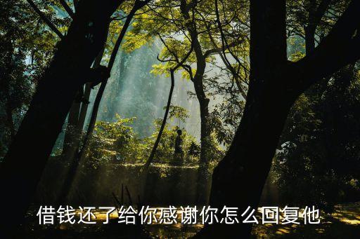 借錢還了給你感謝你怎么回復他