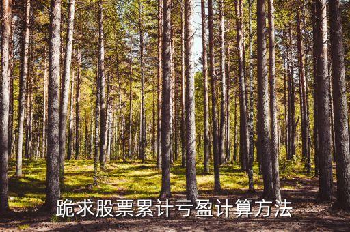 累計(jì)虧損怎么計(jì)算，什么是年初累計(jì)虧損
