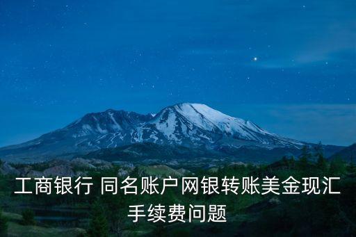 工商銀行 同名賬戶網(wǎng)銀轉(zhuǎn)賬美金現(xiàn)匯手續(xù)費問題