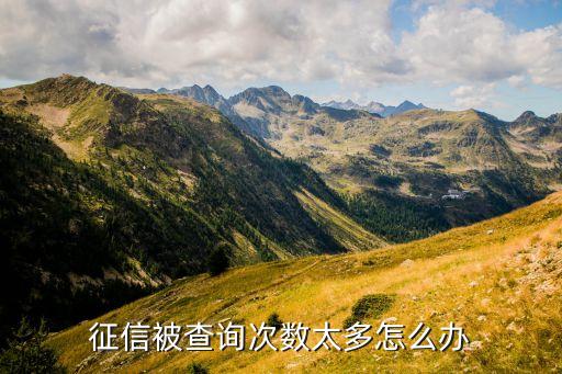 征信被查詢(xún)次數(shù)太多怎么辦