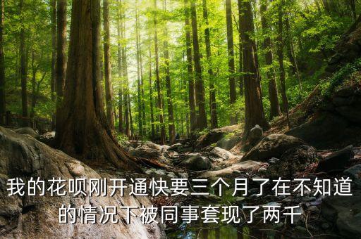 我的花唄剛開通快要三個(gè)月了在不知道的情況下被同事套現(xiàn)了兩千