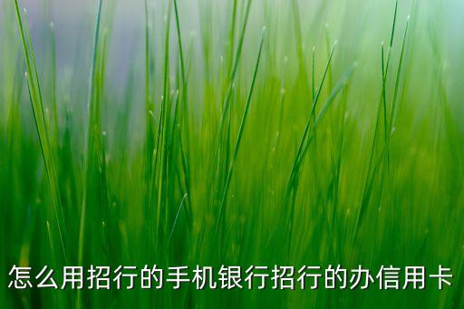 怎么用招行的手機(jī)銀行招行的辦信用卡