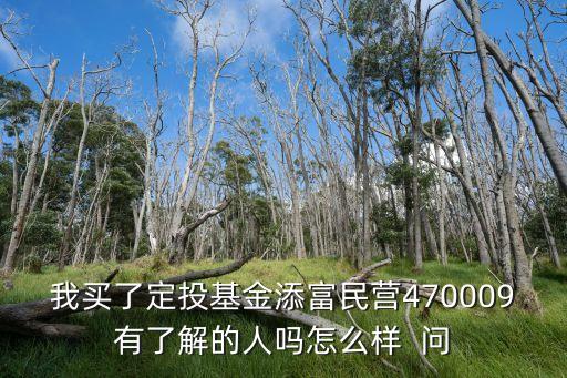 我買了定投基金添富民營470009有了解的人嗎怎么樣  問