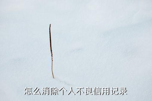 怎么消除個(gè)人不良信用記錄