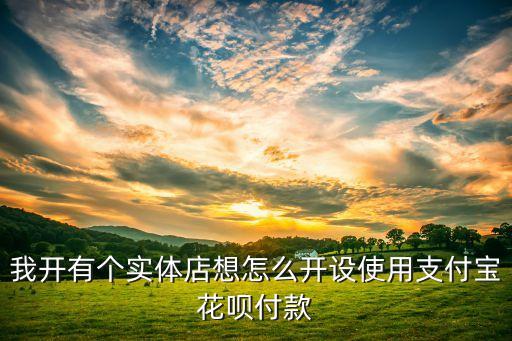 我開有個(gè)實(shí)體店想怎么開設(shè)使用支付寶花唄付款