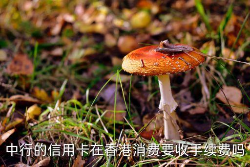 中行的信用卡在香港消費(fèi)要收手續(xù)費(fèi)嗎