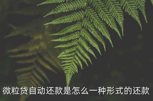 微粒貸自動(dòng)還款是怎么一種形式的還款