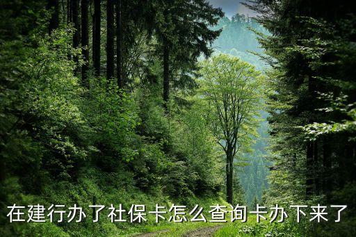 在建行辦了社?？ㄔ趺床樵兛ㄞk下來了