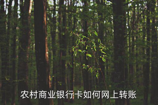 農(nóng)商行怎么網(wǎng)上轉(zhuǎn)賬，農(nóng)村商業(yè)銀行卡如何網(wǎng)上轉(zhuǎn)賬